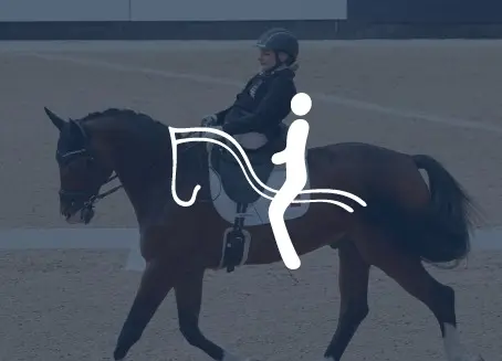 Para Equestrian